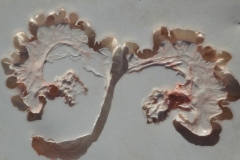 Els_van_der_Meulen_mixed media_uterus_varken